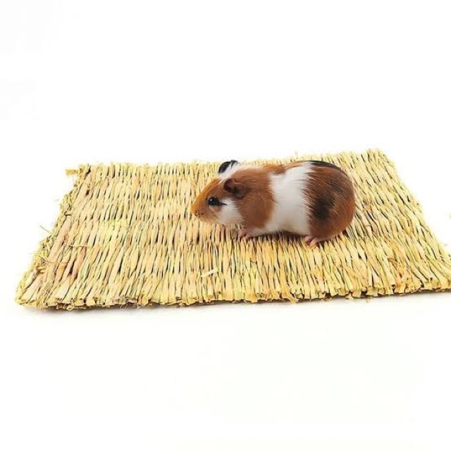 HAY MAT ALAS HAY TIMOTHY ALAS KANDANG RUMPUT MAKANAN KELINCI GUINEA PIG KELINCI CHINCILA MARMUT