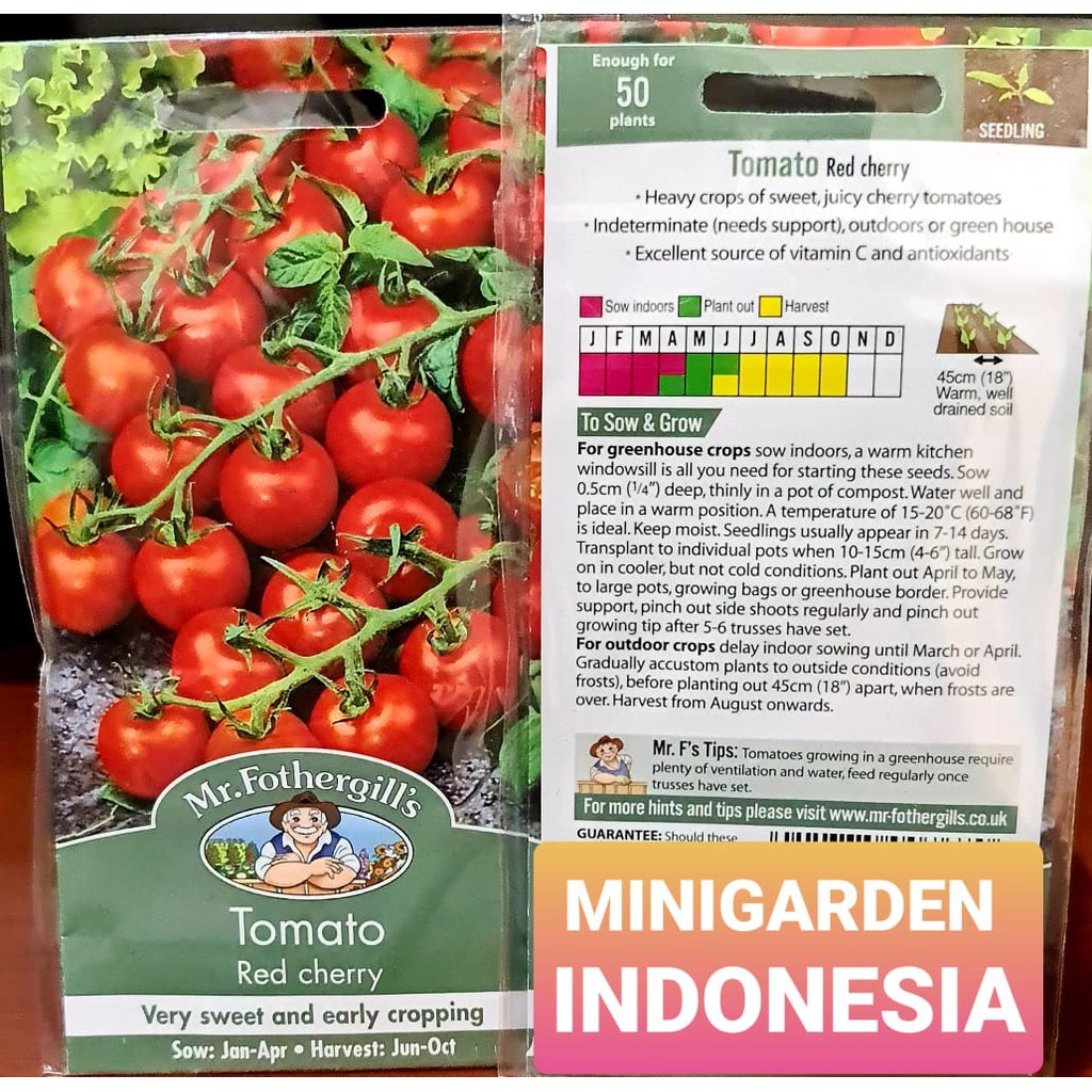 BENIH TOMAT MINI MERAH RED CHERRY PACK 50 BIJI bibit sayur buah tomat chery ceri merah import f1 Mr. Fothergills