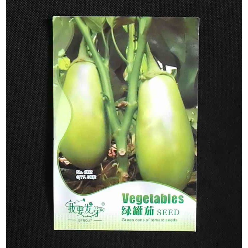 

Terlaris Green Eggplant Terong Hijau Grosir