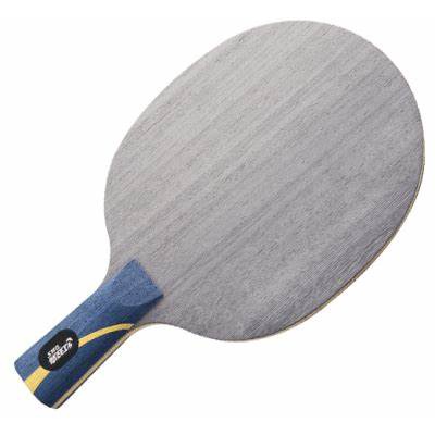 Bet Tenis Meja Kayu Bet Pingpong DHS Hurricane Hao