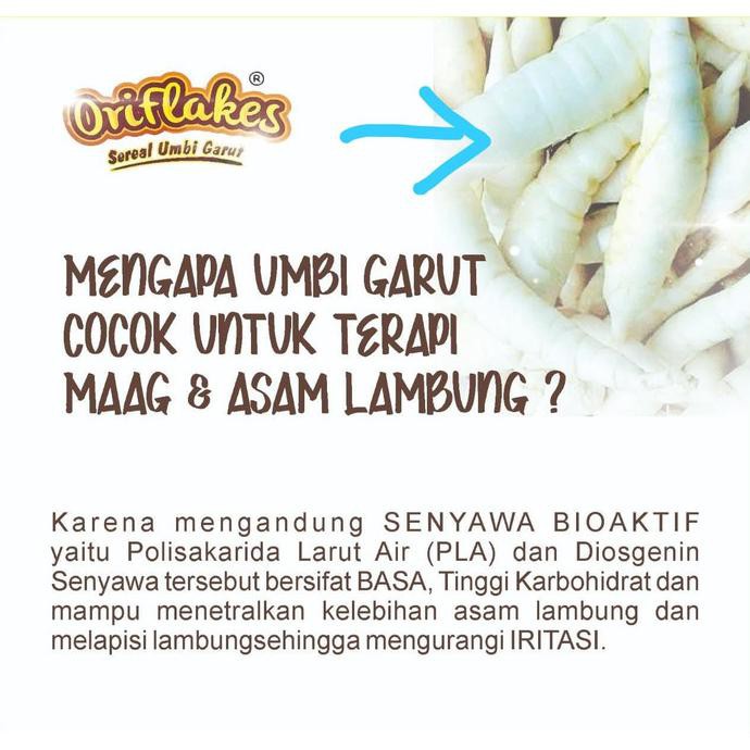 

ORIFLAKES SEREAL KESEHATAN SOLUSI ASAM LAMBUNG 350 GRAM