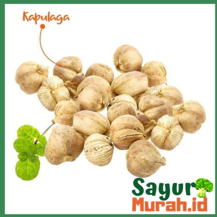 

Kapulaga India Bumbu