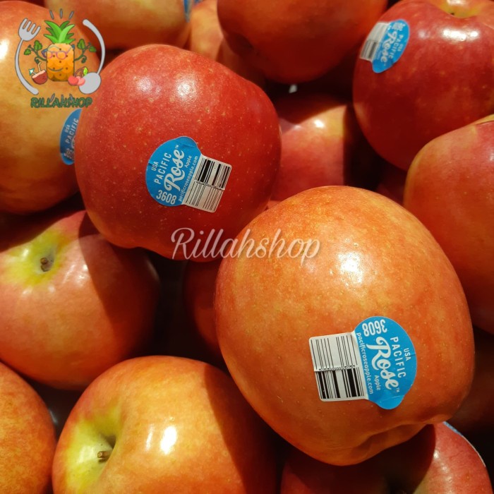 

Buah Apel Pasific Rose USA Kg