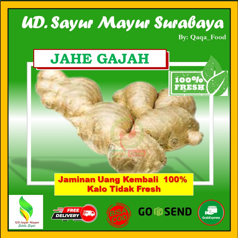 

JAHE GAJAH SEGAR SUPER BUMBU DAPUR REMPAH REMPAH OBAT HERBAL 500 gram - UD181