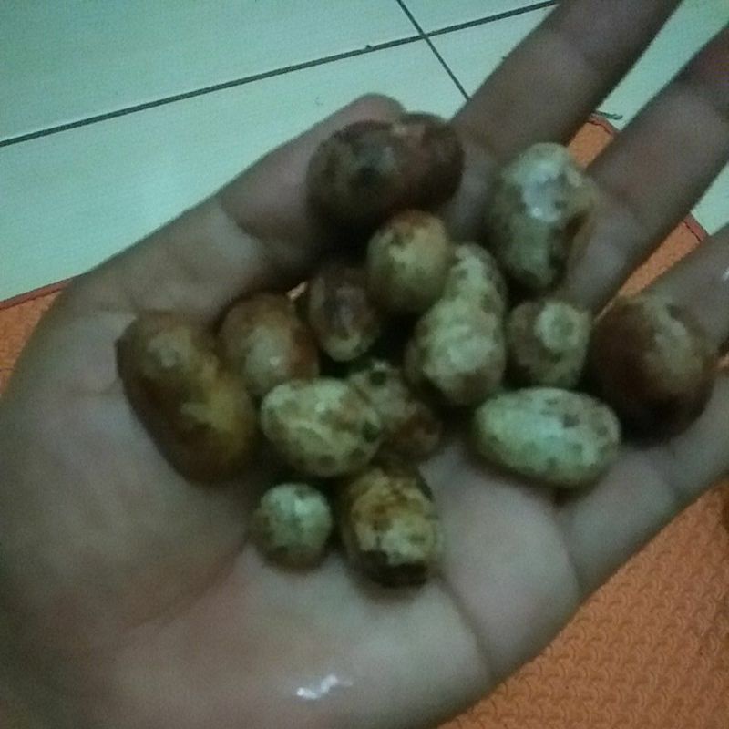 

kacang Bogor