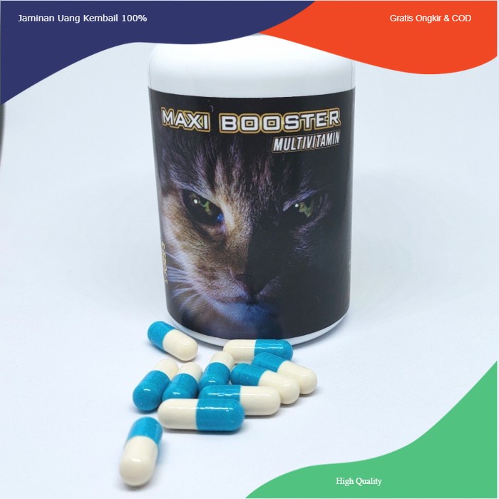 Maxi Booster Per Botol 100 Kapsul | Multivitamin Kucing