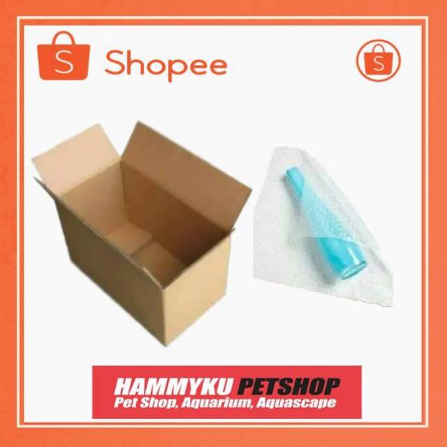 PACKING DUS dan BUBBLE WRAP