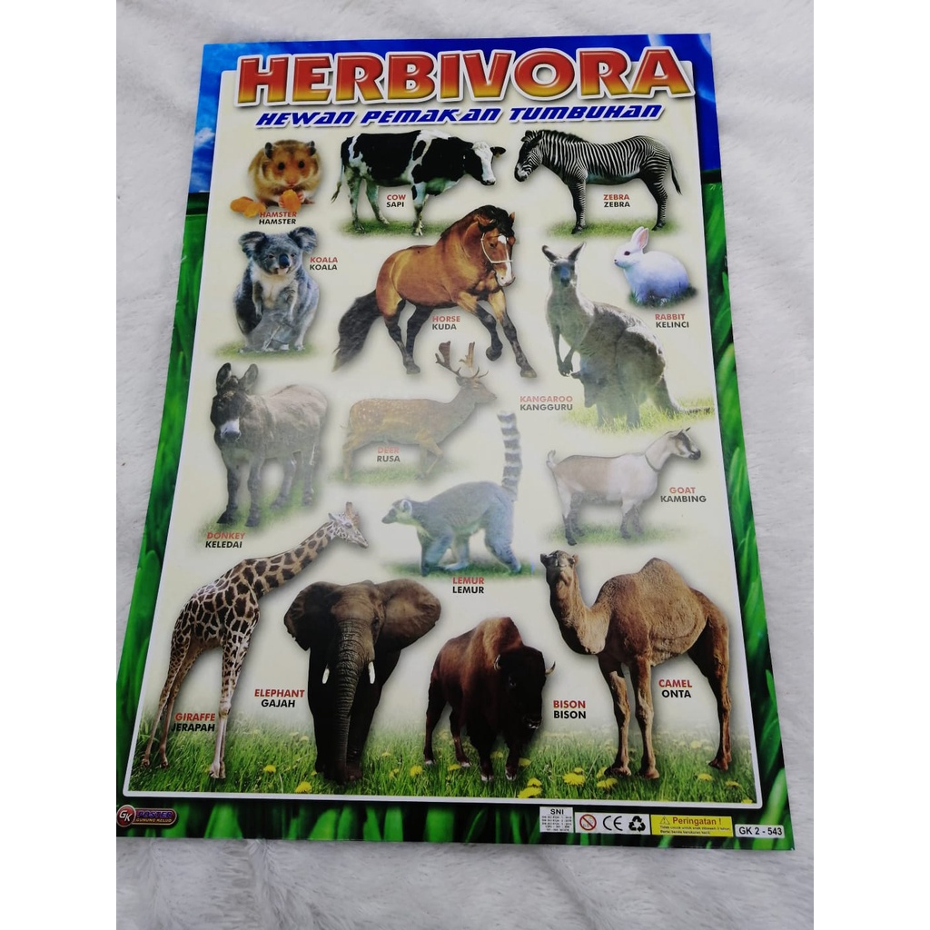 Grosir Poster Bergambar Hewan