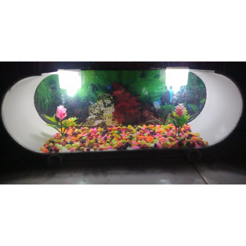 aquarium mini ikan cupang PVC LED