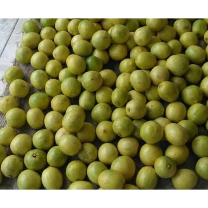 

lemon lokal Segar