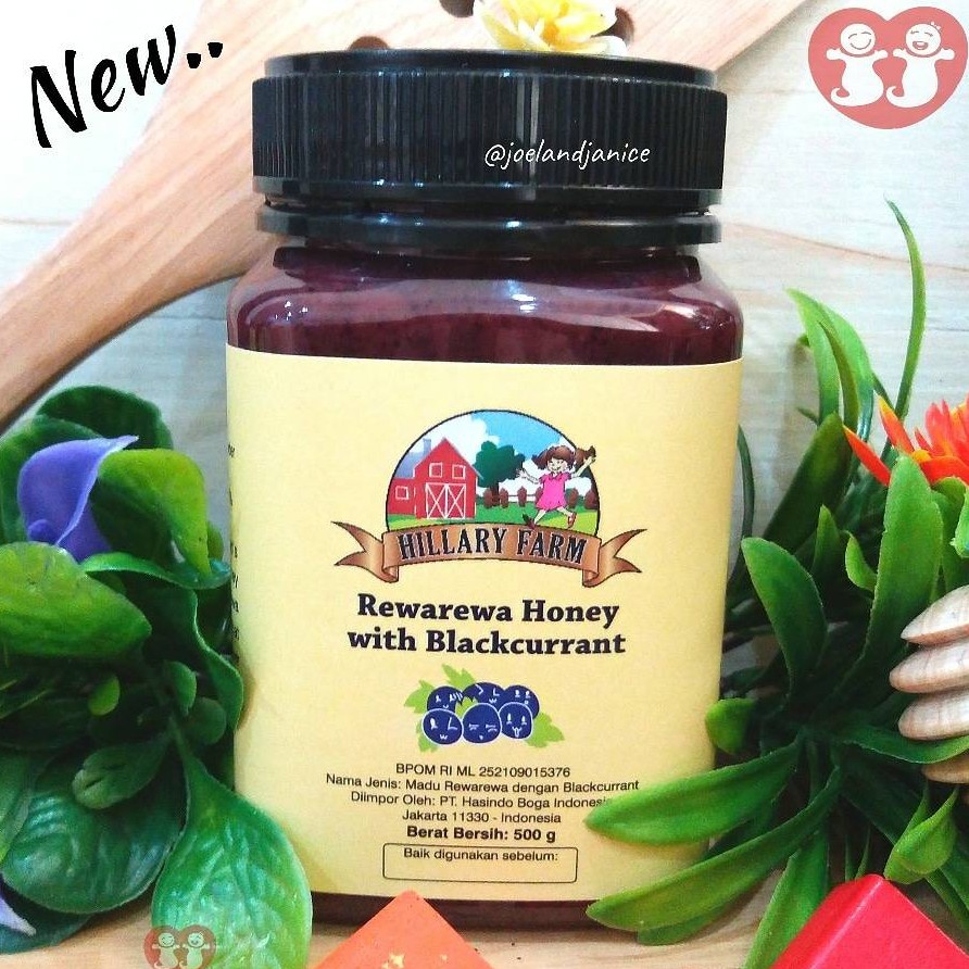 Hillary Farm Rewarewa Honey w Blackcurrant 500gr