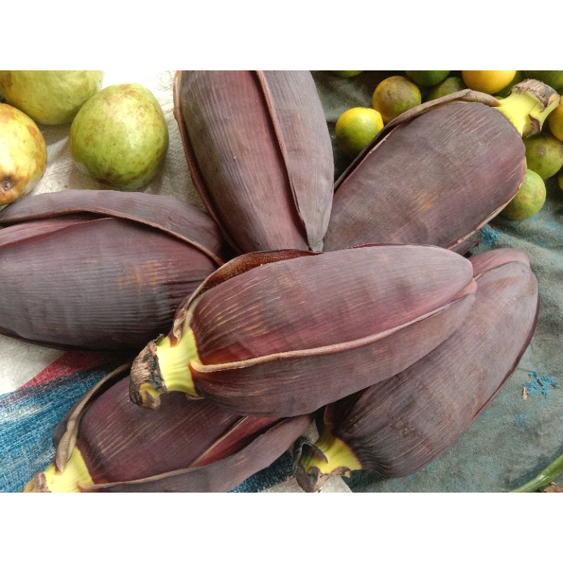 

BSM | TERMURAH Jantung Pisang per buah | Sayur online