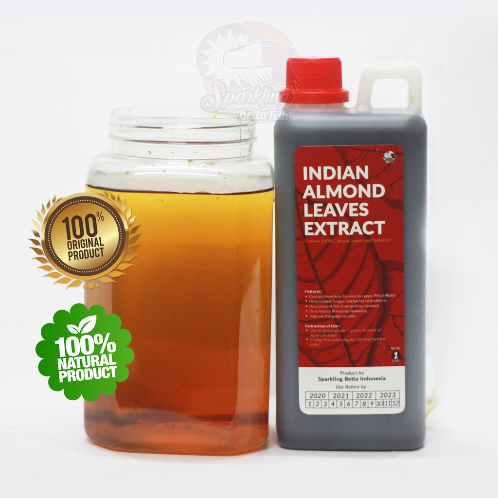 

Ekstrak Daun Ketapang Merah 1000ml Indian Almond Premium Quality by Sparkling Betta