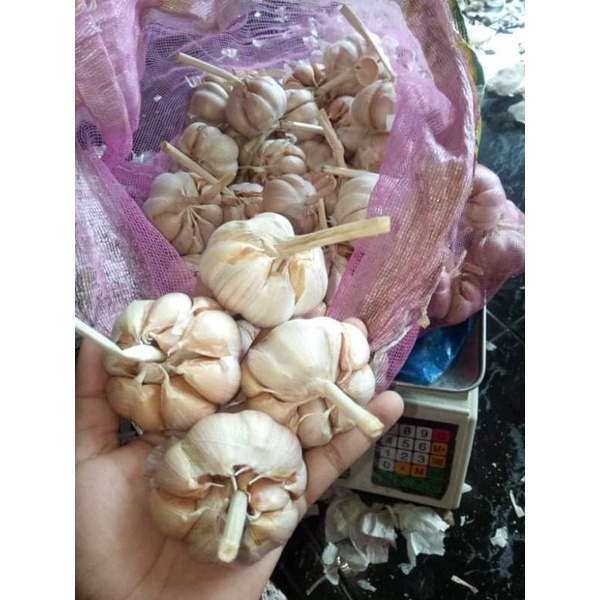 

Bawang putih honan 500gr fres