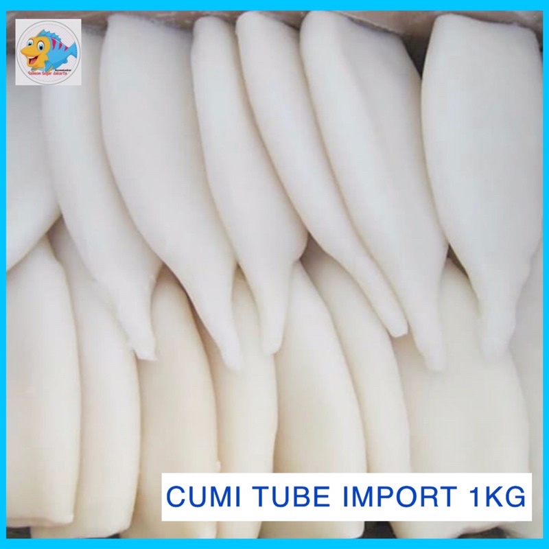 

Cumi Tube Kupas Frozen - Squid Import