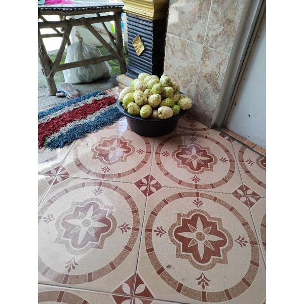

Buah mengkudu