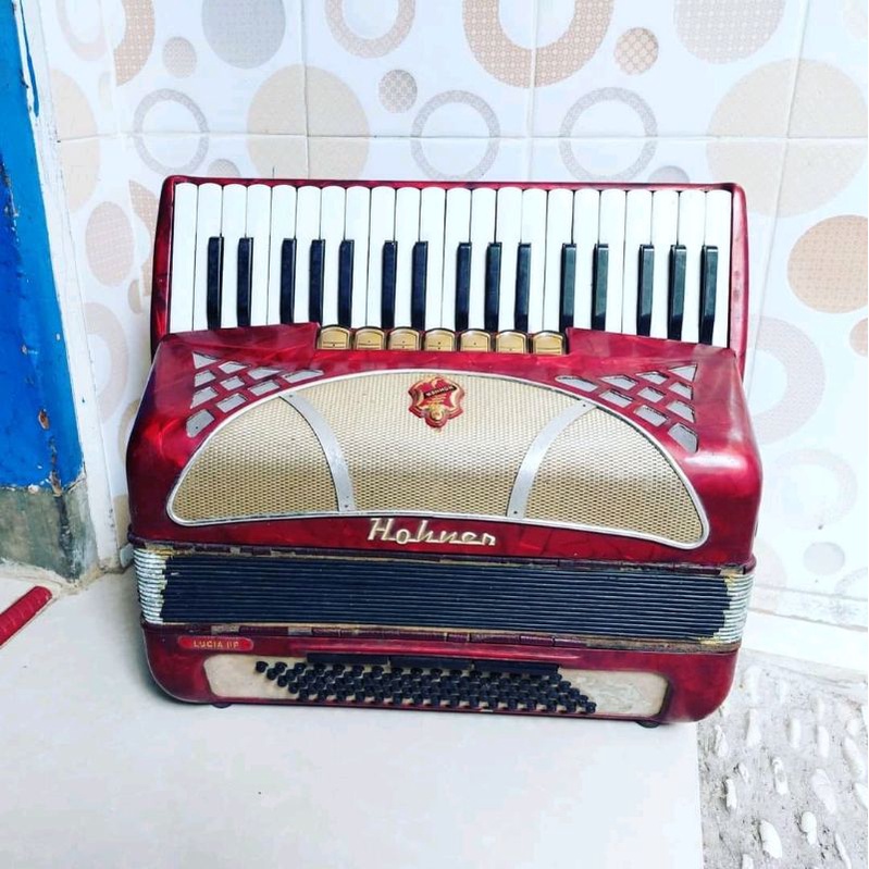 accordion hohner