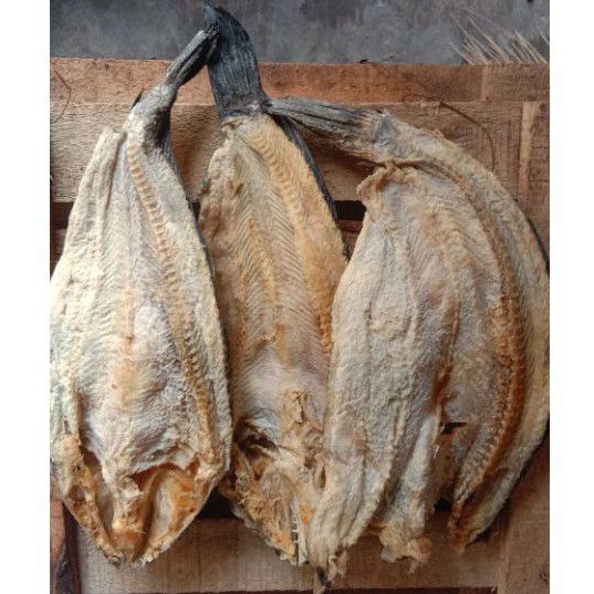 

ikan gabus asin