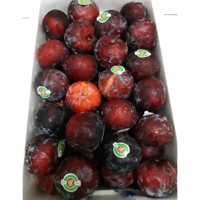 

Aseli Buah Plum Hitam Import Untuk Diet Termurah Se Indonesia Dijamin Murah It'S Work