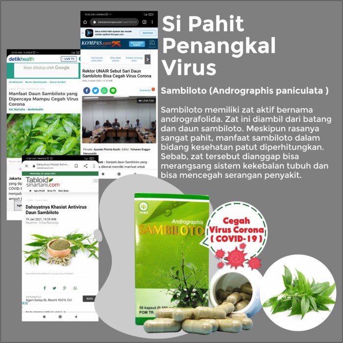 Kapsul Andrographis Sambiloto Toga Nusantara