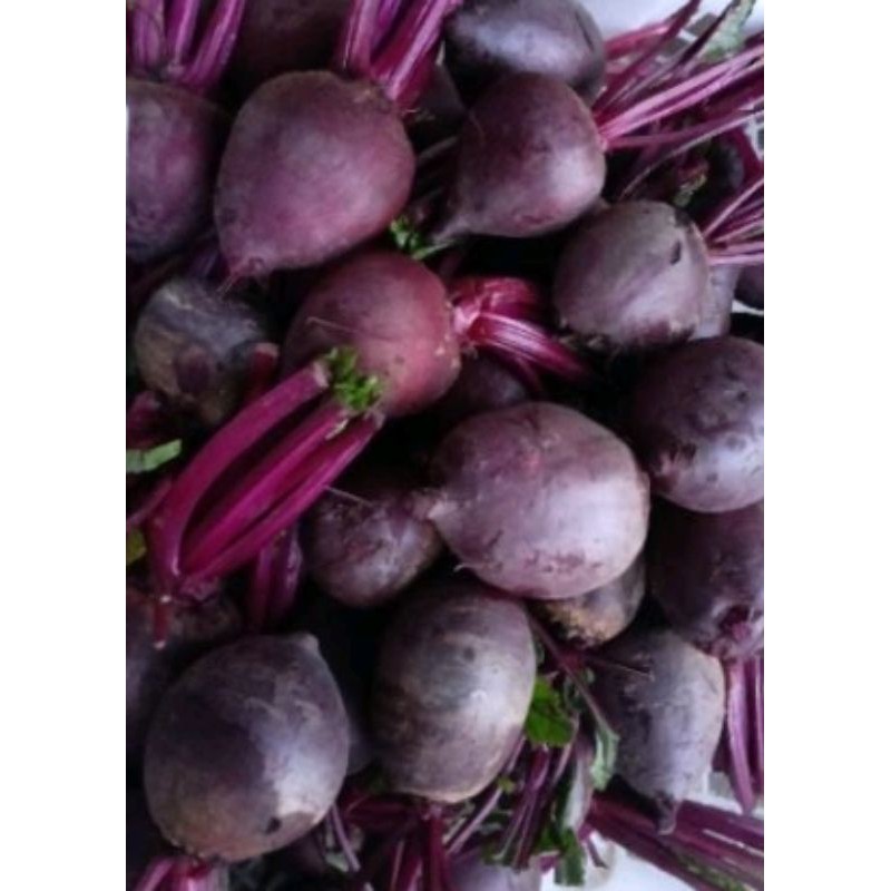 

beetroot buah bit fresh 1kg