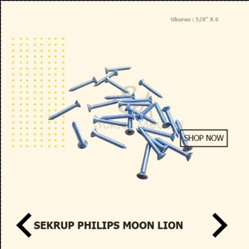 6 X 5/8 IN SEKRUP PHILIPS MOON LION FH / SEKRUP BAUT TAPPING