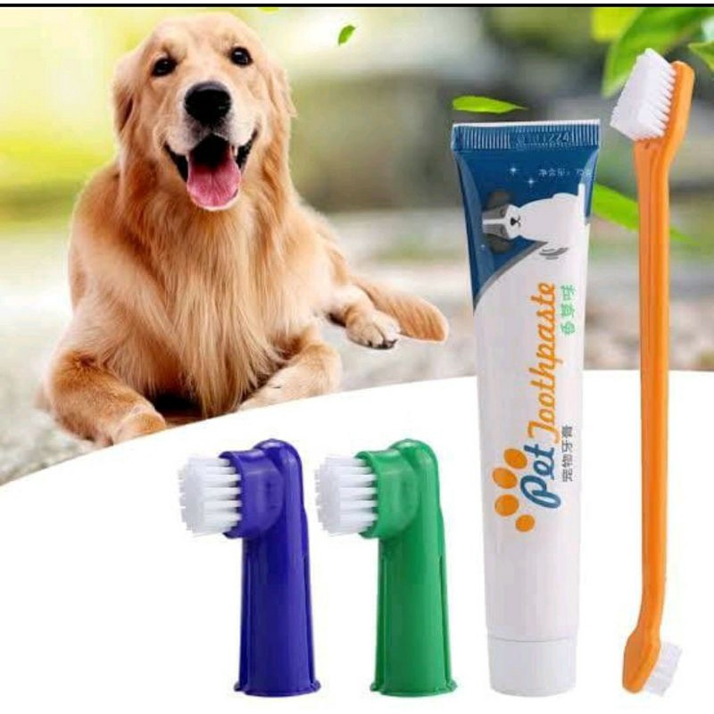 Sikat Gigi dan Odol Anjing Kucing 4 In 1 Dog n Cat PetTooth Brush and Paste