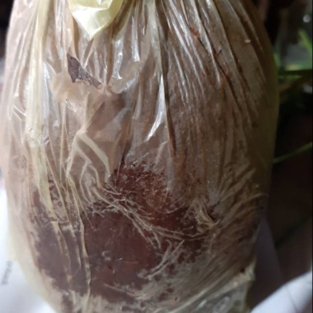 

Terasi merah enak dari Sidoarjo 100gr/250gr/500gr/1kg.