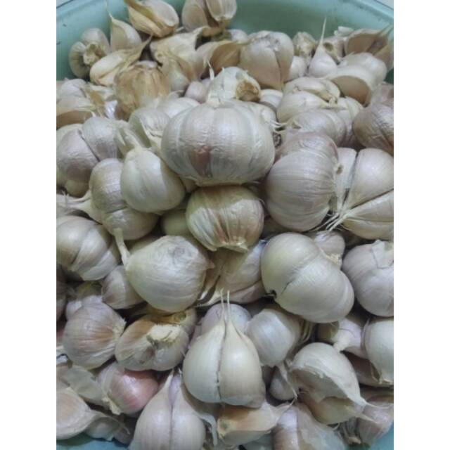 

Murah[Super Kating]Bawang Putih