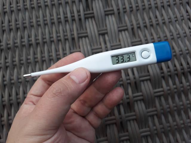 Thermometer Digital alat ukur suhu tubuh