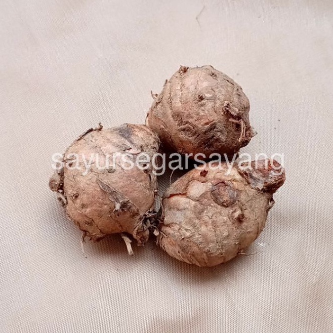 

Temulawak 500gr