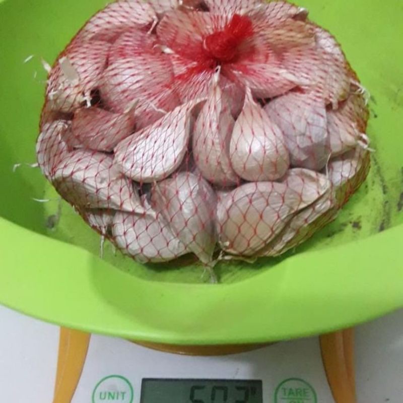 

BAWANG PUTIH KATING BERSIH BAGUS 500 GRAM