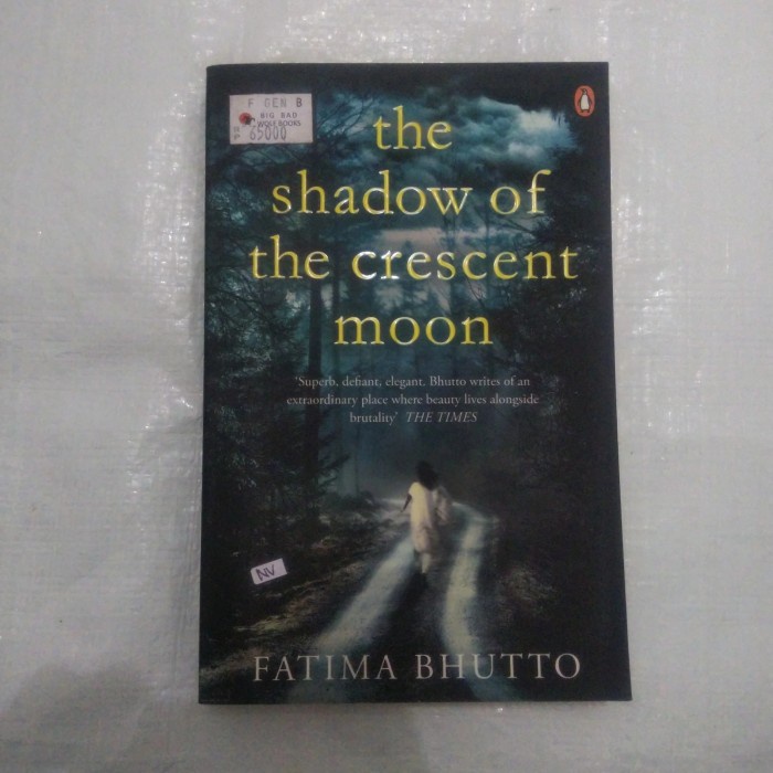 NOVEL THE SHADOW OF THE CRESCENT MOON