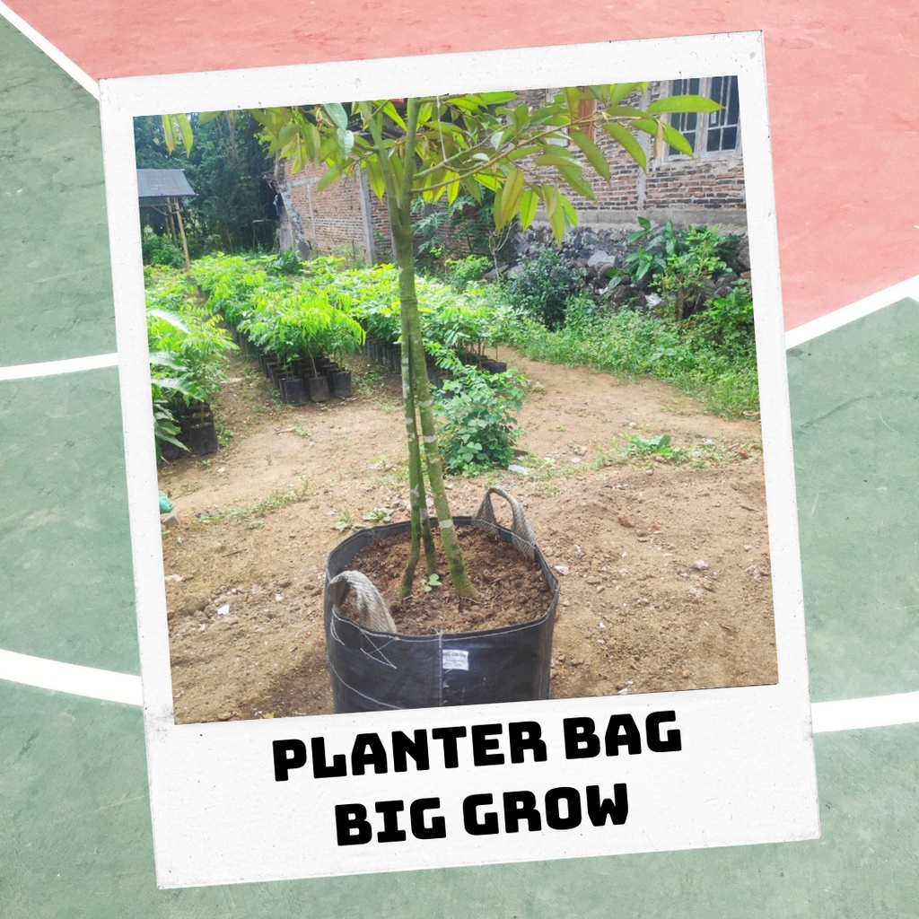 Planter Bag Big Grow