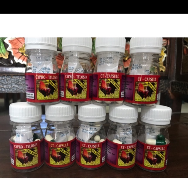 

CT-CAPSUL ASLI