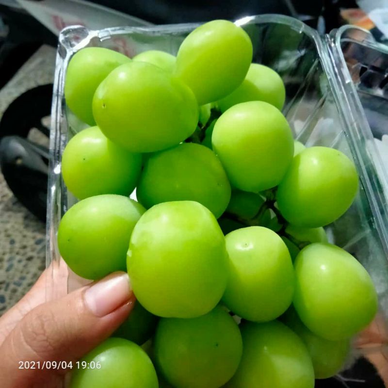 

Anggur Shine Muscat Sultan Anggur Enak Banget Anggur Ijo Tanpa Biji Seedless Buah Segar Bekasi