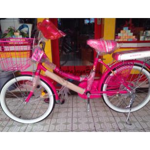 Sepeda Mini / City Bike Exotic 20