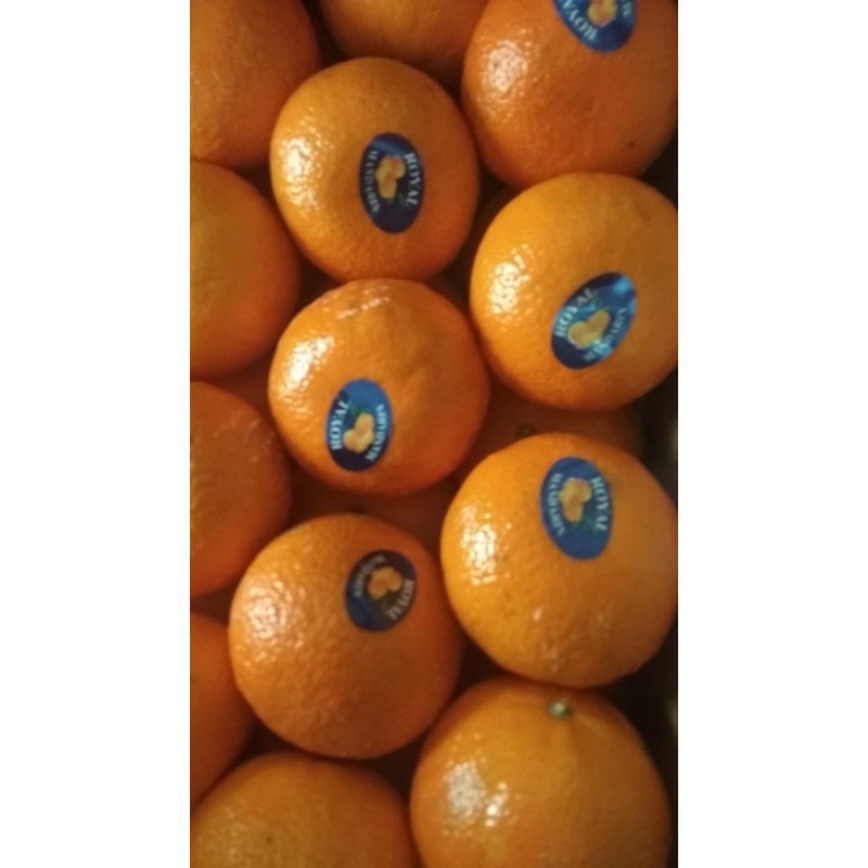 

Jeruk Mandarin Wokam manis segar