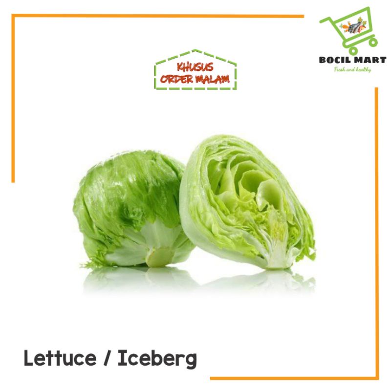 

SELADA LETTUCE 1 PCS BOCIL MART