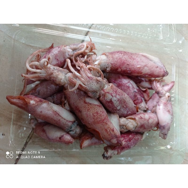 

ikan asin cumi biasa 250gr