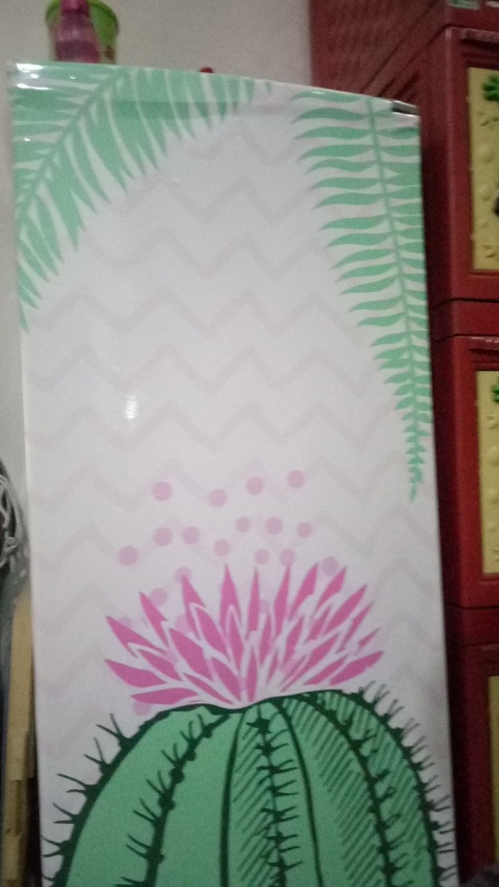 Stiker Kulkas 1 Pintu Dan 2 Pintu - Vector Cactus