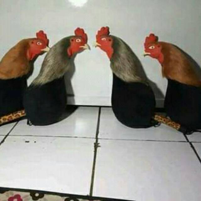 Boneka ayam aduan