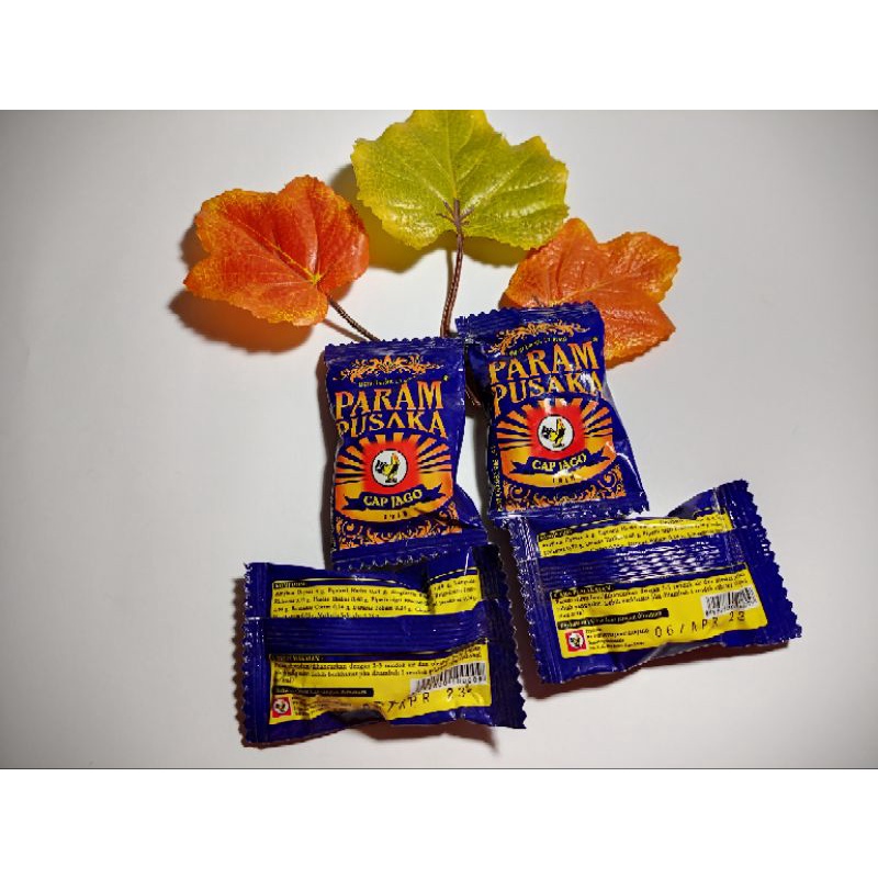 

Param Pusaka Obat Oles Nyeri Sendi dan Bengkak Terkilir