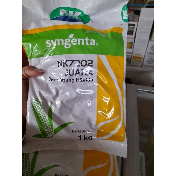 benih jagung hibrida super unggul 1kg