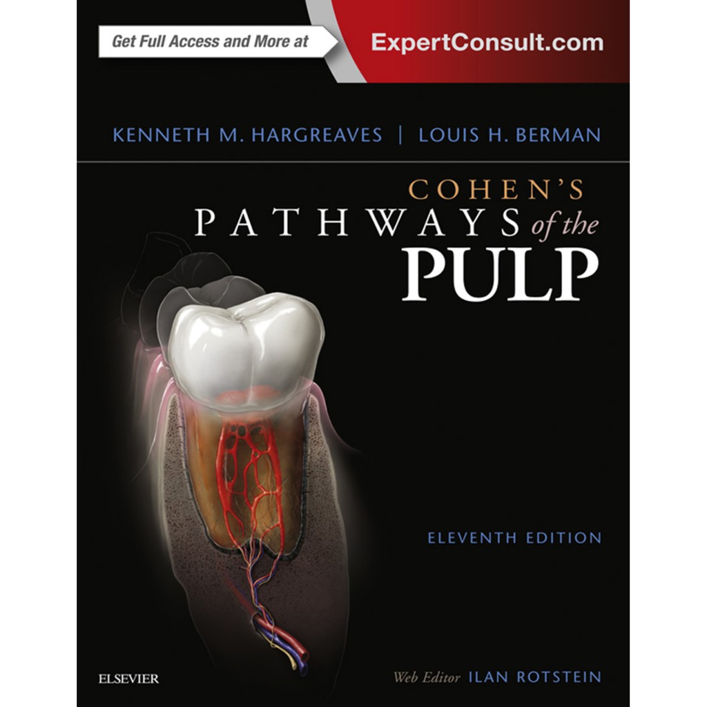 Ebook Cohen’s Pathways of the Pulp, 11th Edition Shopee Indonesia