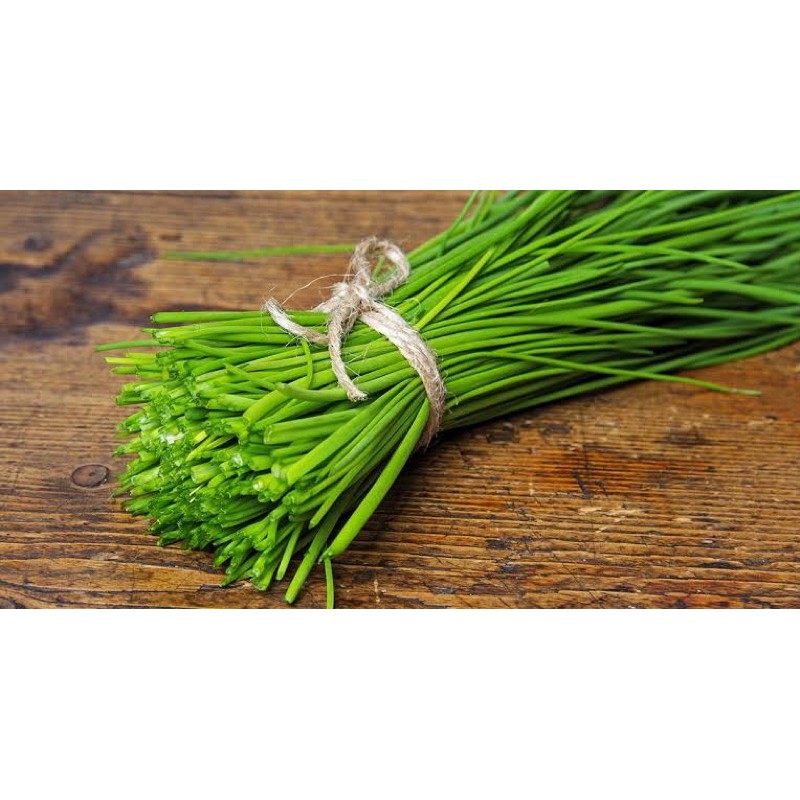 

Daun kucai / sayur kucai