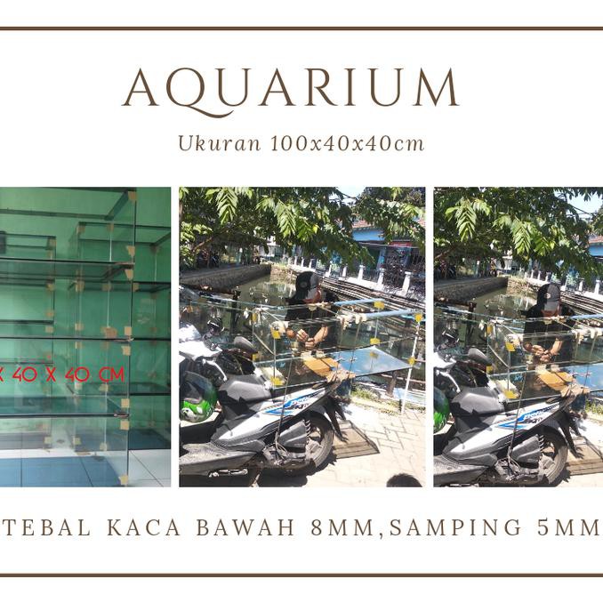 Aquarium kaca 100 x 40 x 40cm