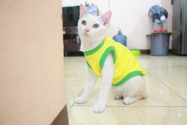 Kaos biasa warna kuning list hijau untuk anjing dan kucing / baju kucing murah meriah size S M L XL