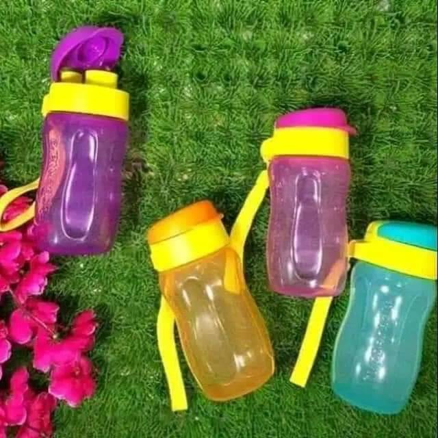 Eco Bottle 310ml (4)