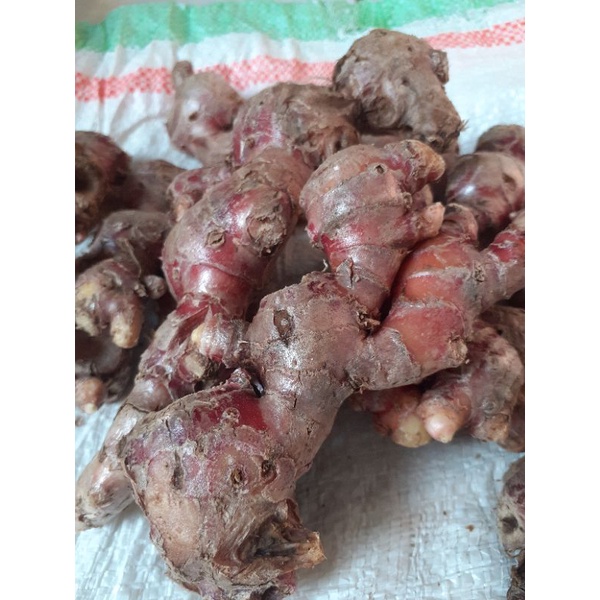 

Jahe Merah Segar 500gram